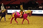 Quadrille - 00543